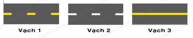 Các loại vạch tim đường
