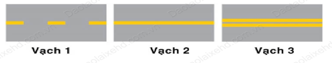 Các vạch màu vàng trên mặt đường