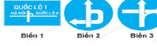 Hình câu 19