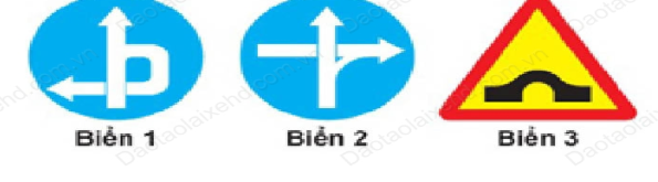 Hình câu 20