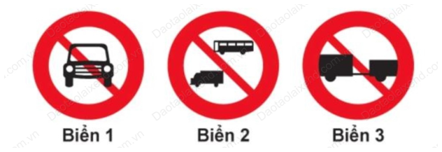 Hình câu 15